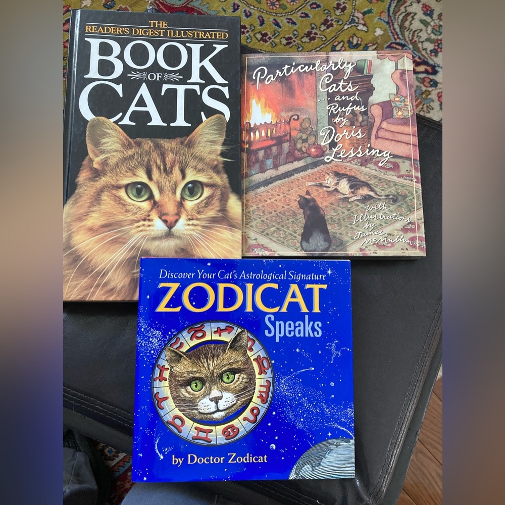 Pick a cat focused book & a decorative cat Cat Encyclopaedia, Astrology or Story